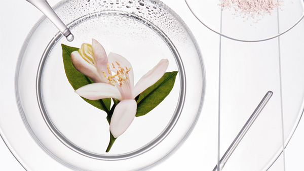 Two Fresh Affair bottles